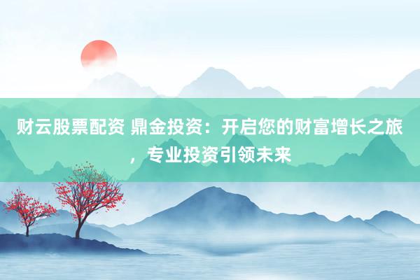 财云股票配资 鼎金投资：开启您的财富增长之旅，专业投资引领未来