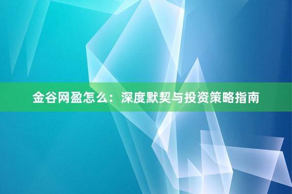金谷网盈怎么：深度默契与投资策略指南