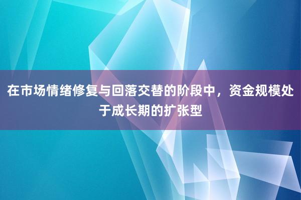 在市场情绪修复与回落交替的阶段中，资金规模处于成长期的扩张型