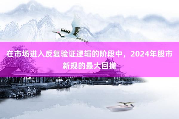 在市场进入反复验证逻辑的阶段中，2024年股市新规的最大回撤