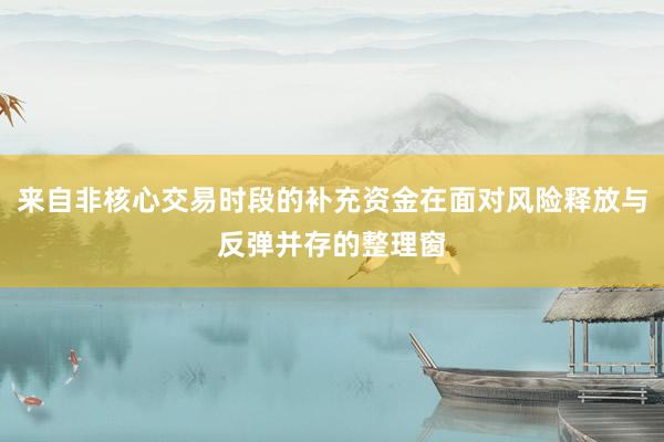 来自非核心交易时段的补充资金在面对风险释放与反弹并存的整理窗