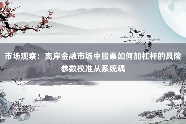 市场观察：离岸金融市场中股票如何加杠杆的风险参数校准从系统耦