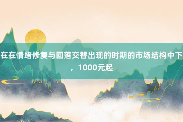 在在情绪修复与回落交替出现的时期的市场结构中下，1000元起