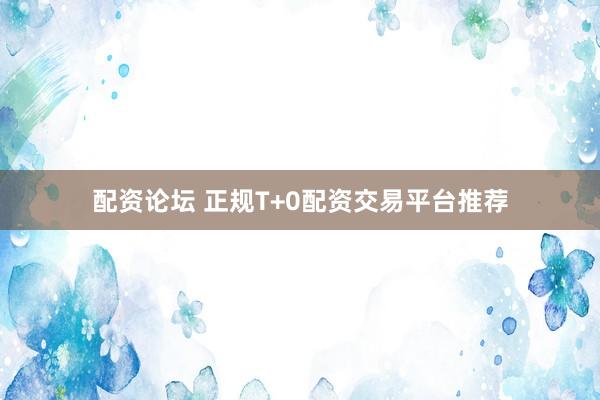 配资论坛 正规T+0配资交易平台推荐